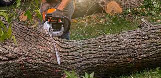 Best Aeration Services  in Morton, TX